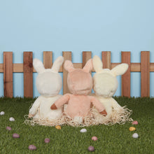 Load image into Gallery viewer, Dinky Dinkums Fluffle Family - Bobbin Bunny
