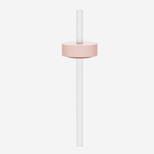 Load image into Gallery viewer, Lounge Straw + Cap | Rose
